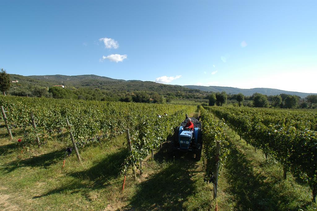 La Casa Colonica Tuoro sul Trasimeno